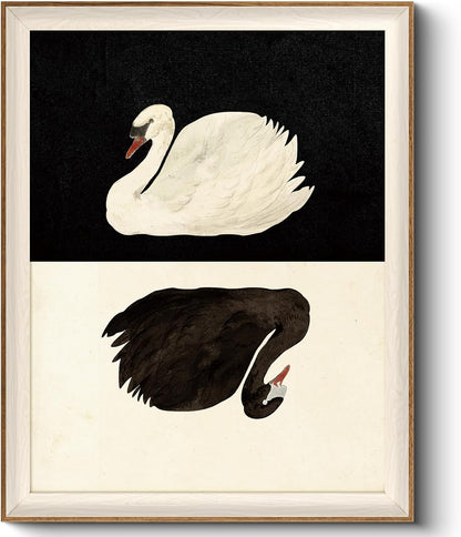 Framed Wall Art for Living Room, Swan Art Canvas Prints, Vintage Home Decor, Animals Painting Picture, Bathroom Wall Decor Gifts for Friends or Family - 12L x 10W