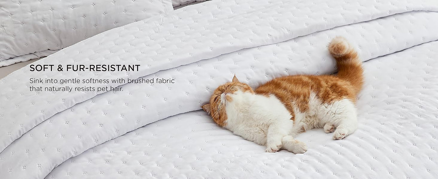 Quilts Queen Size - Bright White Bedspread Queen Size & Lightweight Comforter, Modern Coverlet with Clover Pattern, Ultra Soft All-Season Bedding, 90 x 96 Inches | Stitch-Free Quilting, Lightweight, Summer Bedding Set, Machine Washable, Pet-Friend