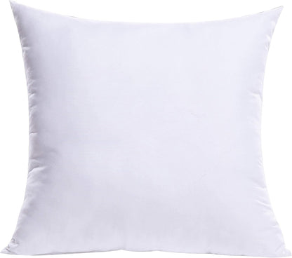 MIULEE Throw Pillow Insert Premium Pillow Stuffer Sham Rectangle for Decorative Cushion Bed Couch Sofa 12x20 Inch