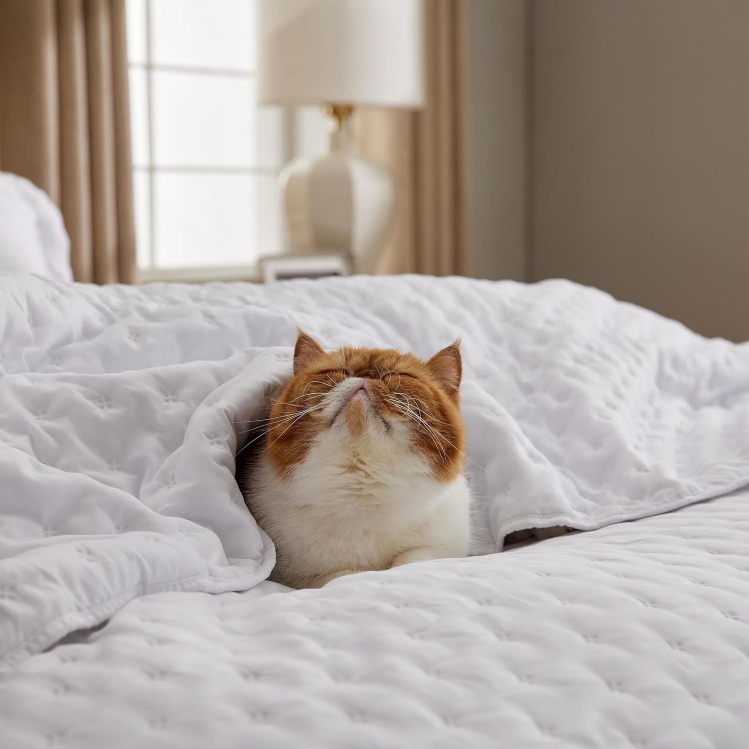 Quilts Queen Size - Bright White Bedspread Queen Size & Lightweight Comforter, Modern Coverlet with Clover Pattern, Ultra Soft All-Season Bedding, 90 x 96 Inches | Stitch-Free Quilting, Lightweight, Summer Bedding Set, Machine Washable, Pet-Friend