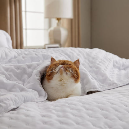 Quilts Queen Size - Bright White Bedspread Queen Size & Lightweight Comforter, Modern Coverlet with Clover Pattern, Ultra Soft All-Season Bedding, 90 x 96 Inches | Stitch-Free Quilting, Lightweight, Summer Bedding Set, Machine Washable, Pet-Friend
