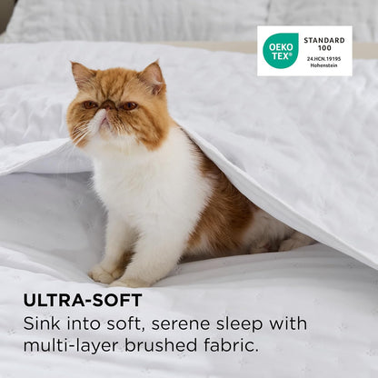 Quilts Queen Size - Bright White Bedspread Queen Size & Lightweight Comforter, Modern Coverlet with Clover Pattern, Ultra Soft All-Season Bedding, 90 x 96 Inches | Stitch-Free Quilting, Lightweight, Summer Bedding Set, Machine Washable, Pet-Friend
